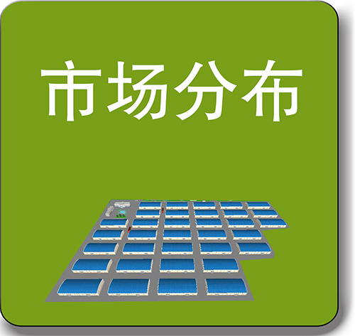 市场分布
